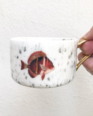Mr Red Fish