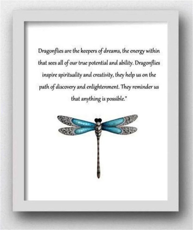 Colier argint Turquoise Dragonfly