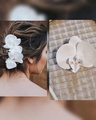 Accesoriu par mireasa