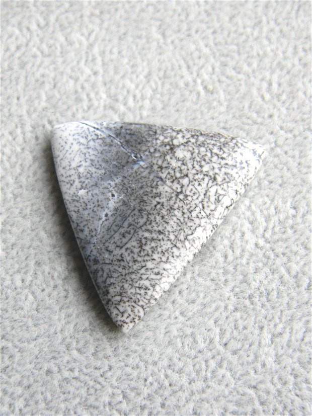 Caboson opal dendritic (C56)