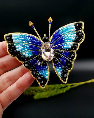 Rezervat Broșa fluture- Blue Butterfly