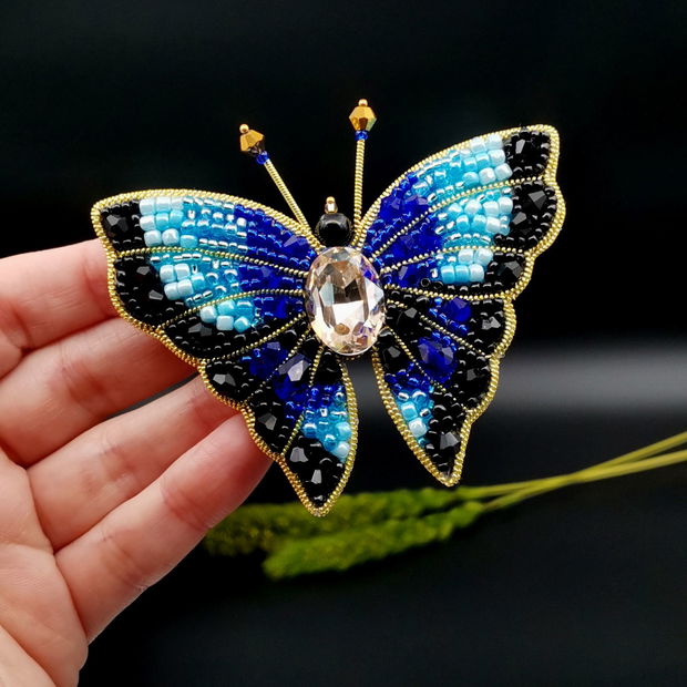 Rezervat Broșa fluture- Blue Butterfly