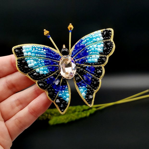 Rezervat Broșa fluture- Blue Butterfly