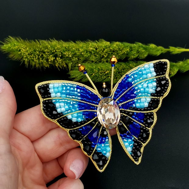 Rezervat Broșa fluture- Blue Butterfly