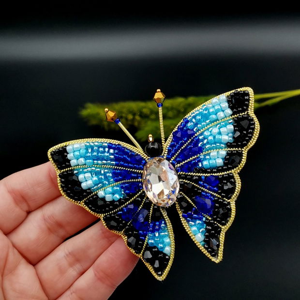 Rezervat Broșa fluture- Blue Butterfly