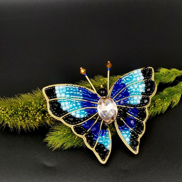 Rezervat Broșa fluture- Blue Butterfly