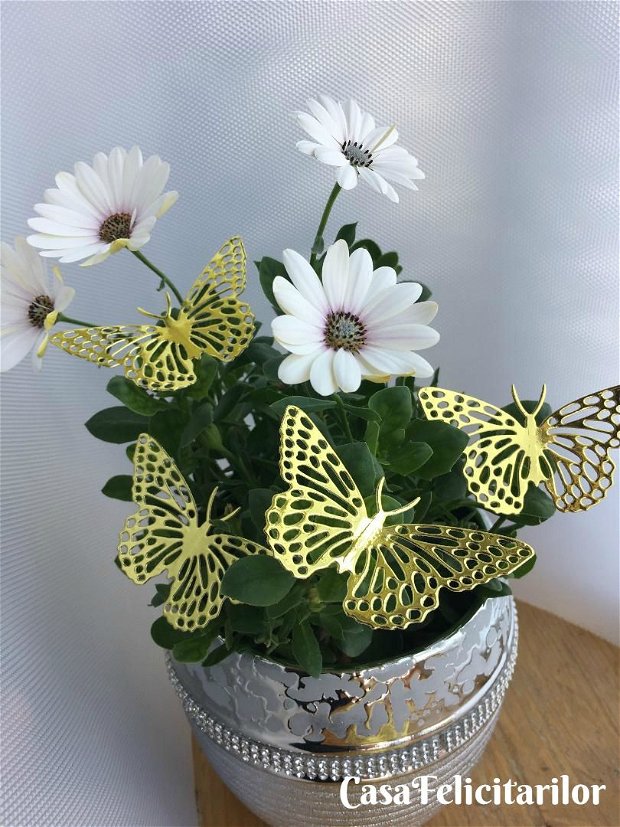 Fluture mare decorativ (model 1)