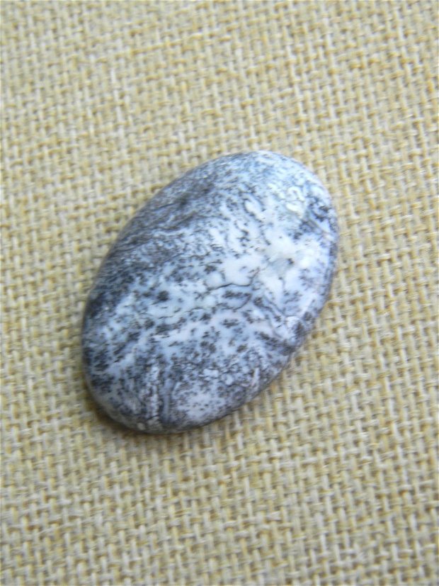Caboson opal dendritic (C40C)