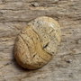 Cabochon picture jasper, 30x22 mm