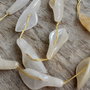 Cale agate, 39x18 mm