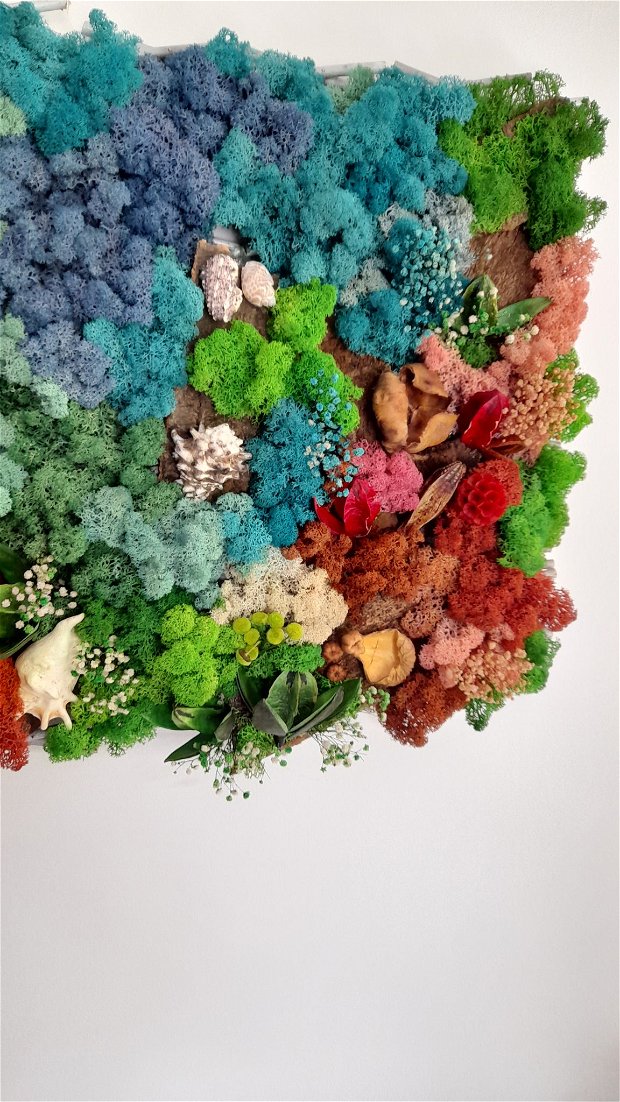 Tablou cu licheni, decor marin/Recif