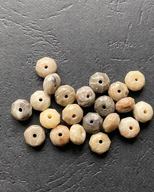 LPP820  - margele coral fosil