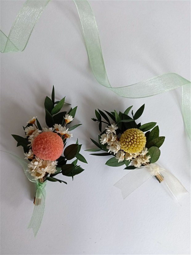 Cocarde nuntă-flori naturale uscate și stabilizate, Craspedia Galben Somon 8 cm
