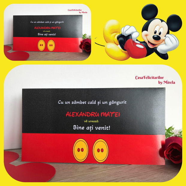 Plic de bani botez-Mickey Mouse