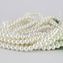 Perle seashell 2/3mm (1sir)