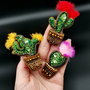 Rezervat Set Broșa- Cactuși mereu înfloriți