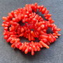 Lchips 51 - chips coral