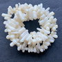 Lchips 52 - chips coral