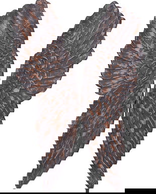 Set aripi din rasini