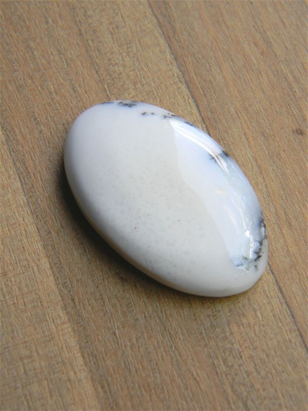 Caboson opal dendritic (C91)