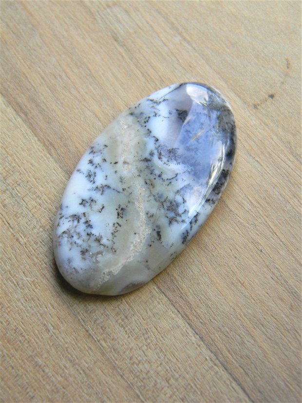 Caboson opal dendritic (C91)