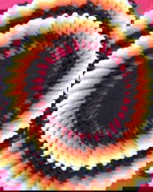 Husa perna floare crosetata