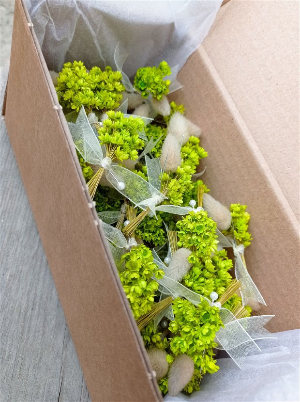 Cocarde nuntă-flori naturale uscate, Verde 6 cm
