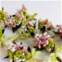 Cocarde nuntă-flori naturale uscate, Verde