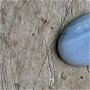 Cabochon opal albastru, 25x17 mm