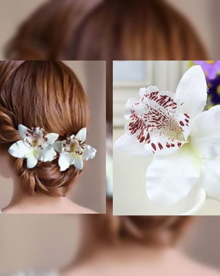 Accesoriu par Orhidee