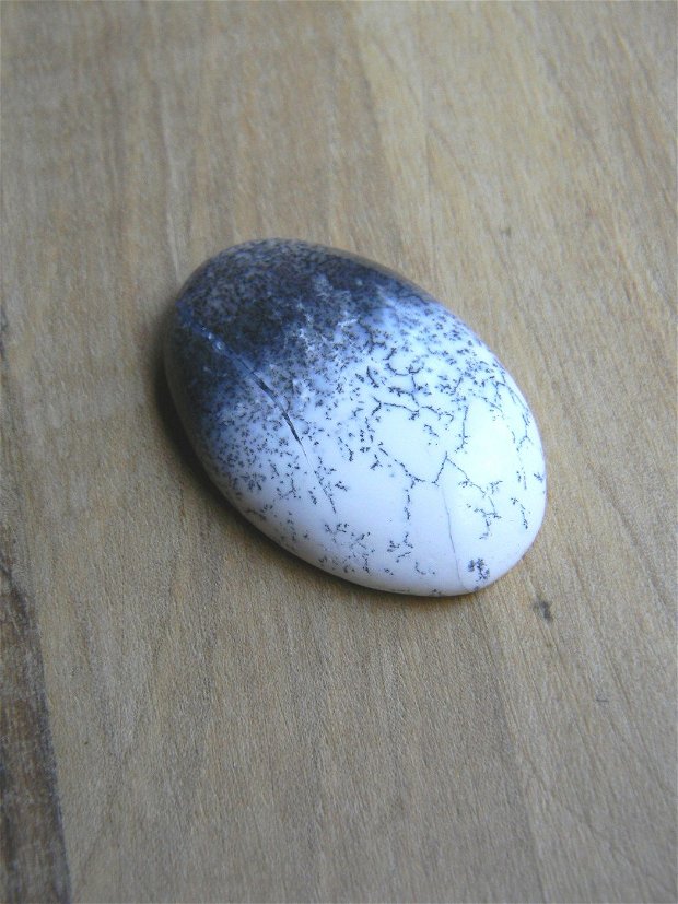Caboson opal dendritic (C105)