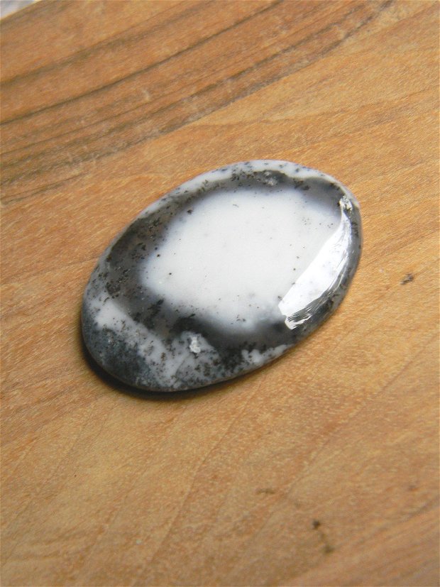 Caboson opal dendritic (C59)