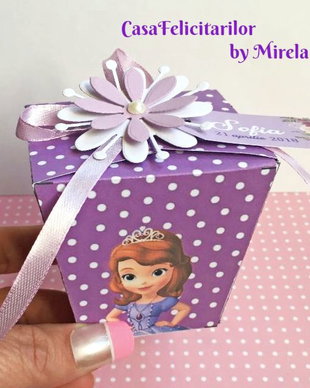 Cutie marturii botez Printesa Sofia