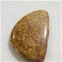 Cabochon coral fosil (lucrat manual in INDIA) aprox 6x24x39.5 mm