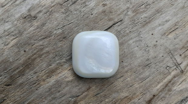 Cabochon sidef, pernuta 18 mm