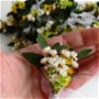 Cocarde nuntă-flori naturale uscate,Verde