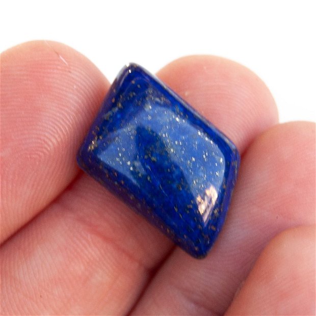 Cabochon  Lapis Lazuli   - [ cod:P391]