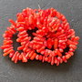 Lchips 51 - chips coral