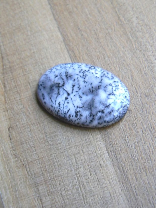 Caboson opal dendritic (C55)