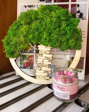 Decoratiune cu licheni naturali stabilizati