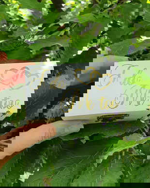 Cutie verighete I do Me too, cutie verighete personalizata, cutie verighete auriu, cutie verighete cu nume