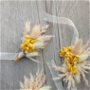 Cocarde nuntă/Brățări domnișoare onoare -flori naturale uscate,Gypsophilia Galben-Pampas-Lagurus