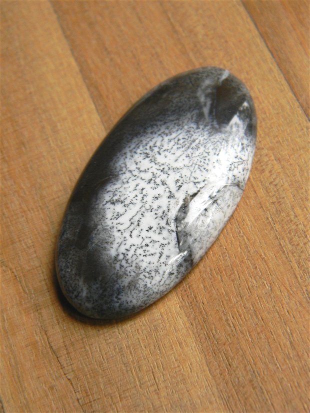 Caboson opal dendritic (CL3)
