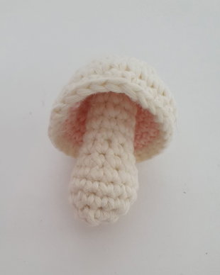 Ciuperca