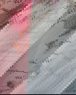 Nou-perdea cu pasarele