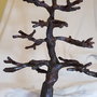 Blank tulpina bonsai