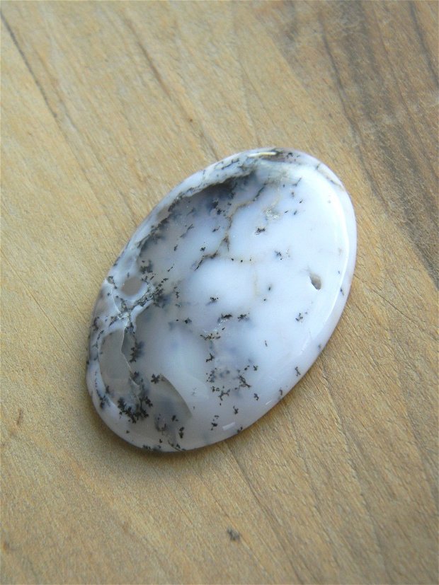 Caboson opal dendritic (C77)