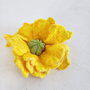 Brosa impaslita