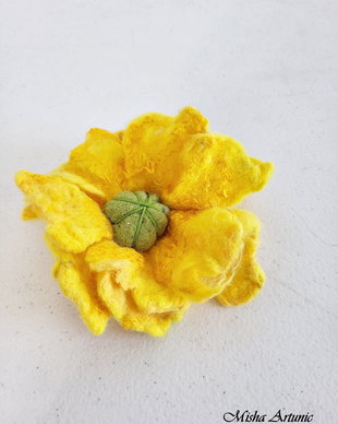 Brosa impaslita