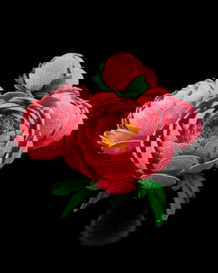 Bujori crosetati, Buchet de bujori, Bujori mireasa, Buchet nunta, Bujori Dragobete, Bujori ziua indragostitilor, Flori decorative, Buchet bujori